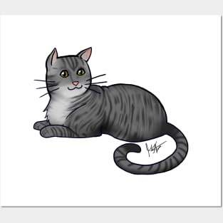 Cat - American Shorthair - Silver Tabby Posters and Art